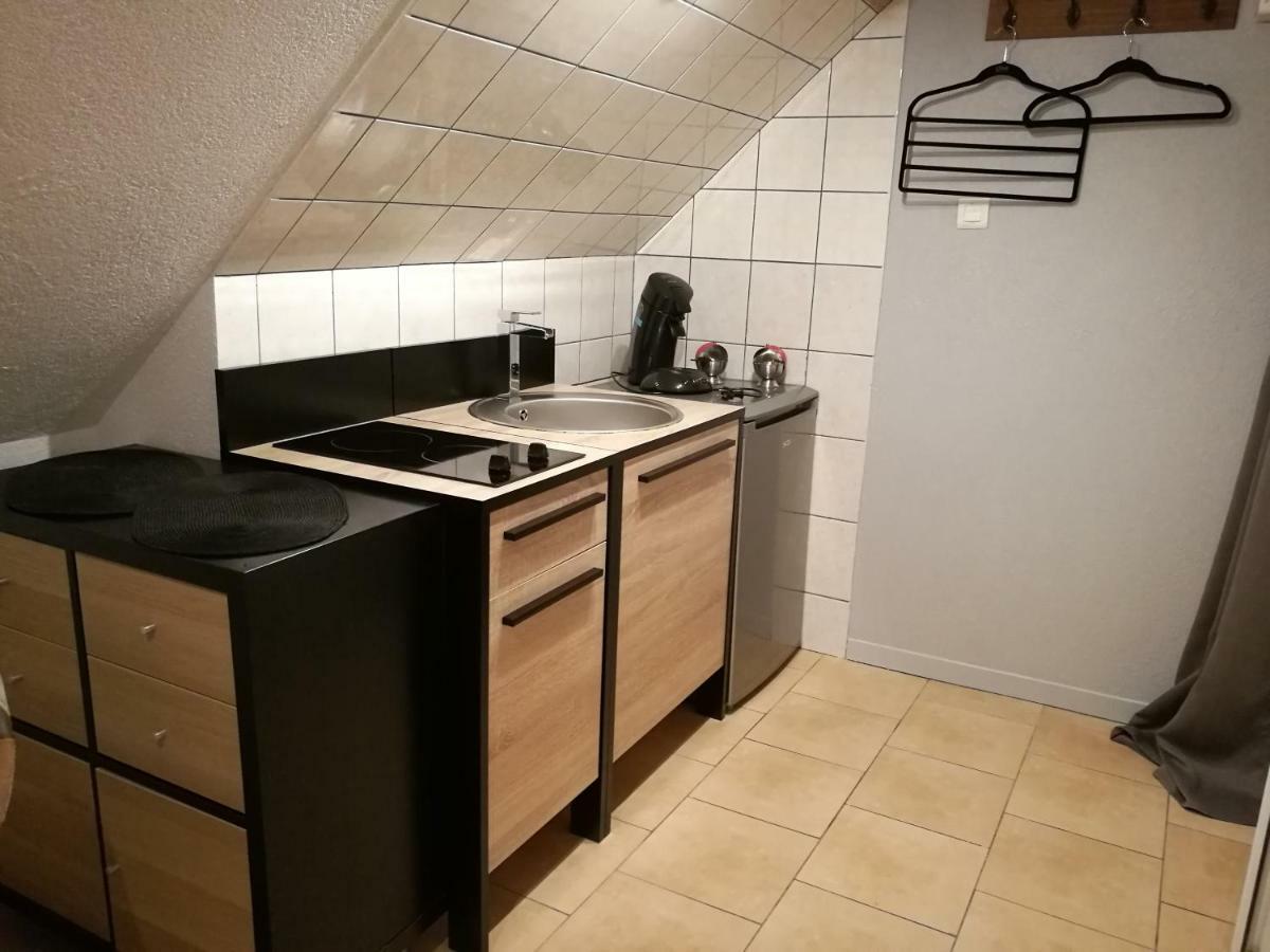 Le Cigogneau-Studio Alcove Au Calme Sainte-Croix-en-Plaine Esterno foto
